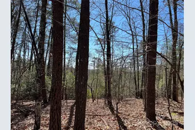 2500 Playmore Beach Road, Lenoir, NC 28645 - Photo 32