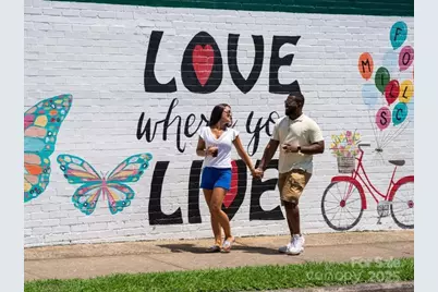 455 Nash Street, Fort Mill, SC 29715 - Photo 10