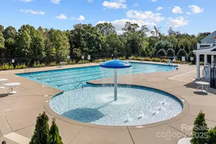 113 Blossom Ridge Dr, Mooresville, NC 28117 - Photo 44