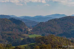 234 Historic Oak Trl, Waynesville, NC 28785 - Photo 44