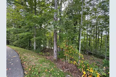 Tbd Bear Paw Road #15, Elk Park, NC 28622 - Photo 10