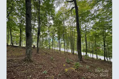 Tbd Bear Paw Road #15, Elk Park, NC 28622 - Photo 6