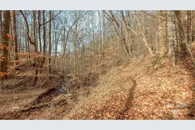 0 E Brocktown Road, Moravian Falls, NC 28654 - Photo 28