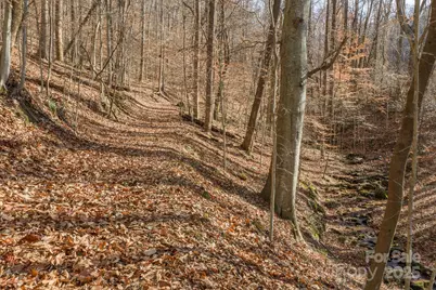 0 E Brocktown Road, Moravian Falls, NC 28654 - Photo 2