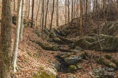 0 E Brocktown Road, Moravian Falls, NC 28654 - Photo 18