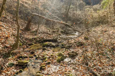 0 E Brocktown Road, Moravian Falls, NC 28654 - Photo 10