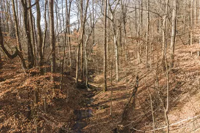 0 E Brocktown Road, Moravian Falls, NC 28654 - Photo 30