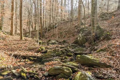 0 E Brocktown Road, Moravian Falls, NC 28654 - Photo 4