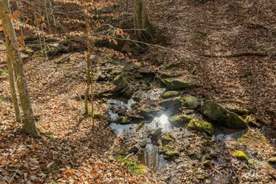 0 E Brocktown Road, Moravian Falls, NC 28654 - Photo 6