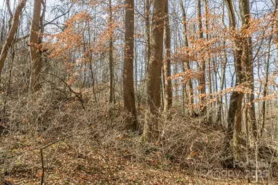 0 E Brocktown Road, Moravian Falls, NC 28654 - Photo 12