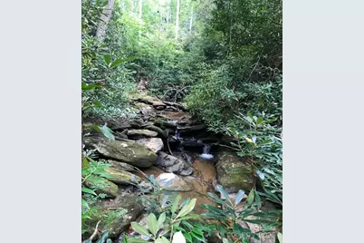 91 Boone Cove Road, Zirconia, NC 28790 - Photo 44