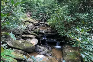 91 Boone Cove Rd, Zirconia, NC 28790 - Photo 44