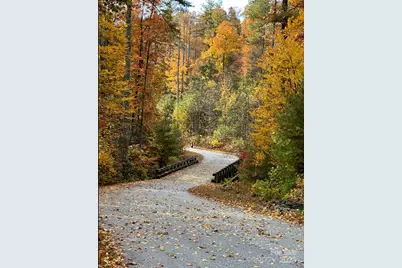 91 Boone Cove Road, Zirconia, NC 28790 - Photo 48