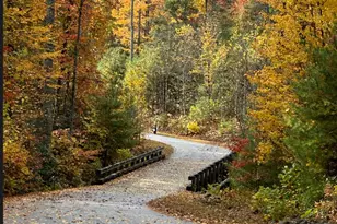 91 Boone Cove Rd, Zirconia, NC 28790 - Photo 48