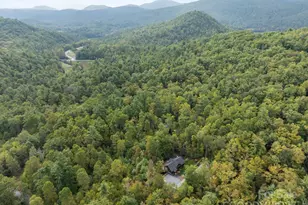 91 Boone Cove Rd, Zirconia, NC 28790 - Photo 40