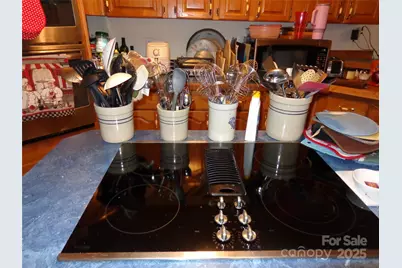 89 Blue Mountain Road, Fairview, NC 28730 - Photo 36