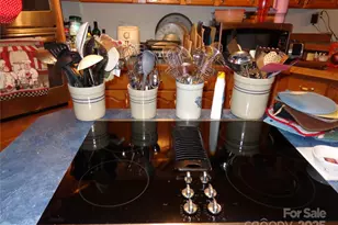 89 Blue Mountain Rd, Fairview, NC 28730 - Photo 36