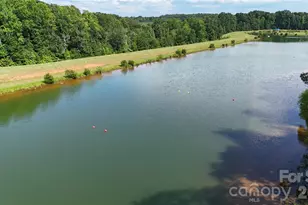 4604 Mirror Lk Dr, Catawba, NC 28609 - Photo 4