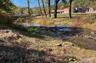 29 E Mitchell St, Old Fort, NC 28762 - Photo 26