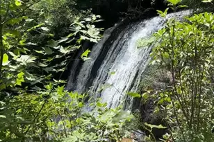 45 Tomahawk Dr, Sapphire, NC 28774 - Photo 12