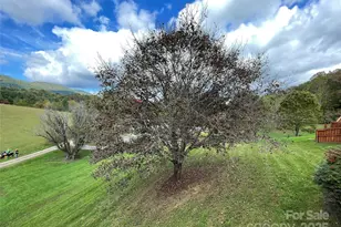 205 L and E Meadows Dr, Waynesville, NC 28786 - Photo 34