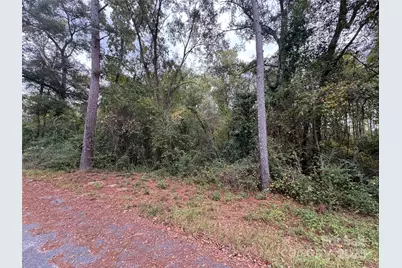00 Ellen Drive, Hamlet, NC 28345 - Photo 2