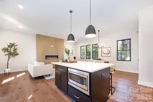 1121 Condon St, Charlotte, NC 28216 - Photo 4