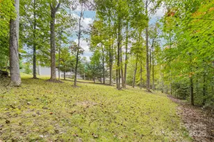 813 Beech Tree Pl, Hendersonville, NC 28792 - Photo 44