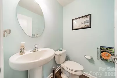 3556 Catherine Creek Place, Davidson, NC 28036 - Photo 12