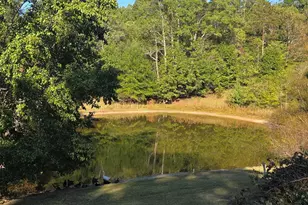 3490 US Hwy Business 220 Hwy, Stoneville, NC 27048 - Photo 2