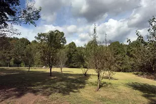 3490 US Hwy Business 220 Hwy, Stoneville, NC 27048 - Photo 18