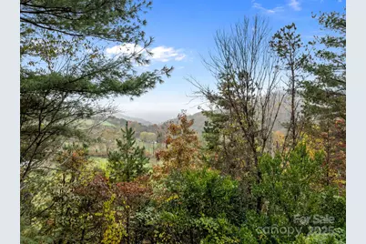 849 Reems Creek Road, Weaverville, NC 28787 - Photo 14