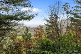 849 Reems Creek Rd, Weaverville, NC 28787 - Photo 14