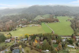 849 Reems Creek Rd, Weaverville, NC 28787 - Photo 44