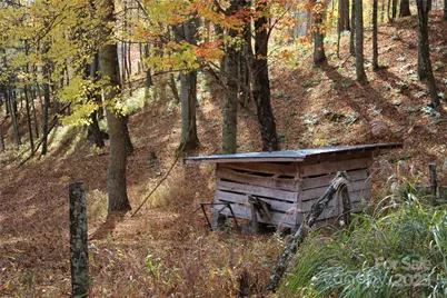 1571 Roaring Fork Road, Burnsville, NC 28714 - Photo 6