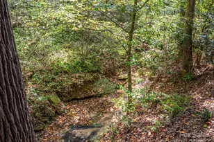 204 Pine Berry Cir, Hendersonville, NC 28739 - Photo 28