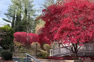 204 Pine Berry Cir, Hendersonville, NC 28739 - Photo 38