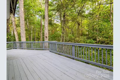 204 Pine Berry Circle, Hendersonville, NC 28739 - Photo 18