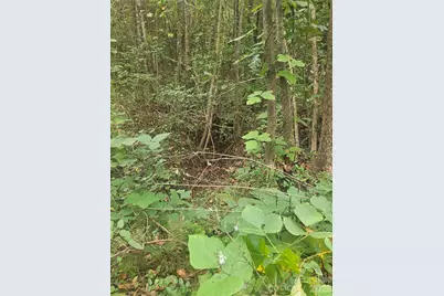 158 Dusty Hollow, Bostic, NC 28018 - Photo 32