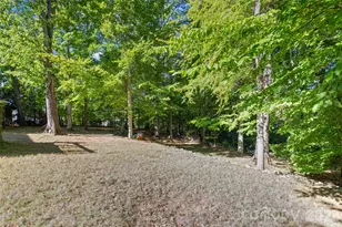 1326 Clifflure Ln, Fort Mill, SC 29708 - Photo 40