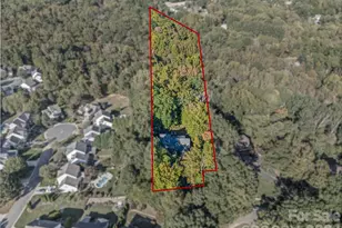 1326 Clifflure Ln, Fort Mill, SC 29708 - Photo 46