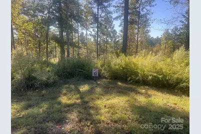 2478 Jumping Run #52, Connelly Springs, NC 28612 - Photo 2