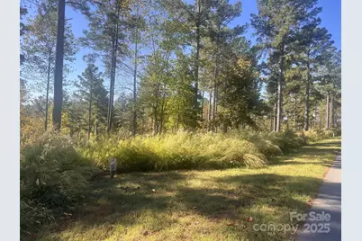 2478 Jumping Run #52, Connelly Springs, NC 28612 - Photo 4