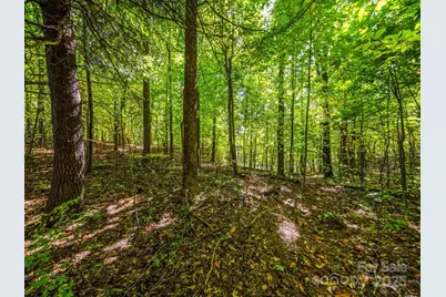 Lot 10 Berry Creek Drive, Flat Rock, NC 28731 - Photo 22