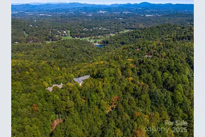 Lot 10 Berry Creek Drive, Flat Rock, NC 28731 - Photo 4