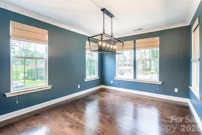 111 Sills Creek Lane, Mooresville, NC 28115 - Photo 14