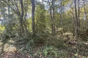 608 W Pine St, Blacksburg, SC 29702 - Photo 6