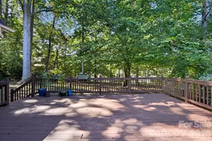 8016 Painted Pony Ct, Charlotte, NC 28269 - Photo 32