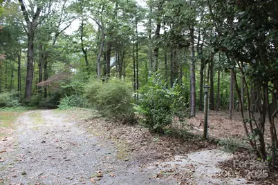 280 Walker Street, Columbus, NC 28722 - Photo 46