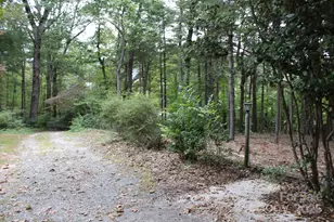 280 Walker St, Columbus, NC 28722 - Photo 46